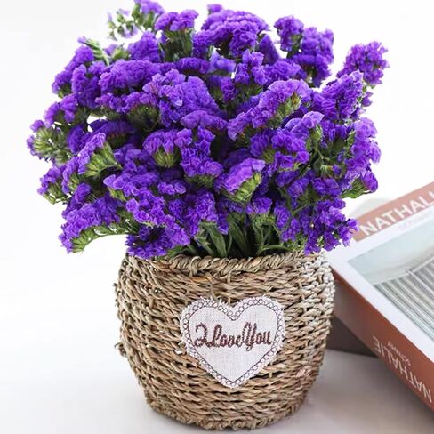 Dried Flowers Sea Lavender Bouquet - 12 inch Real Natural 1600+ Purple Statice Flowers, Dried Lavender Bundle for Arrangements, Home Decor, Wedding, DIY Party (Purple) in Saudi Arabia