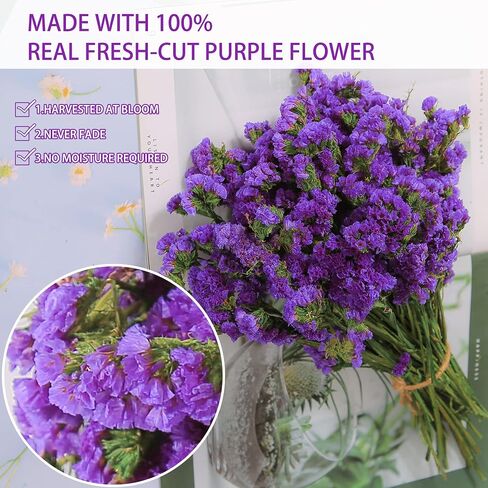 Dried Flowers Sea Lavender Bouquet - 12 inch Real Natural 1600+ Purple Statice Flowers, Dried Lavender Bundle for Arrangements, Home Decor, Wedding, DIY Party (Purple) in Saudi Arabia