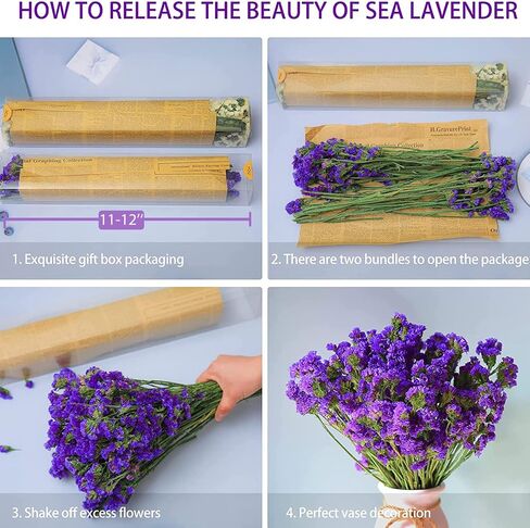 Dried Flowers Sea Lavender Bouquet - 12 inch Real Natural 1600+ Purple Statice Flowers, Dried Lavender Bundle for Arrangements, Home Decor, Wedding, DIY Party (Purple) in Saudi Arabia