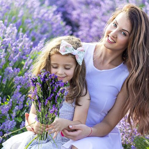 Dried Flowers Sea Lavender Bouquet - 12 inch Real Natural 1600+ Purple Statice Flowers, Dried Lavender Bundle for Arrangements, Home Decor, Wedding, DIY Party (Purple) in Saudi Arabia