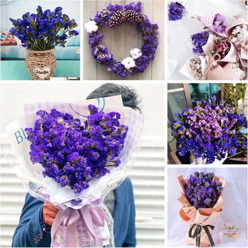 Dried Flowers Sea Lavender Bouquet - 12 inch Real Natural 1600+ Purple Statice Flowers, Dried Lavender Bundle for Arrangements, Home Decor, Wedding, DIY Party (Purple) in Saudi Arabia