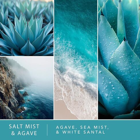 ScentSationals Salt Mist & Agave Fragrance Oil Plug In Air Freshener Refills 3-Pack - Works with Scentsationals Wall Plugs, Long-Lasting Home Fragrance, 0.8 fl oz Each, Packaging May Vary in Kuwait