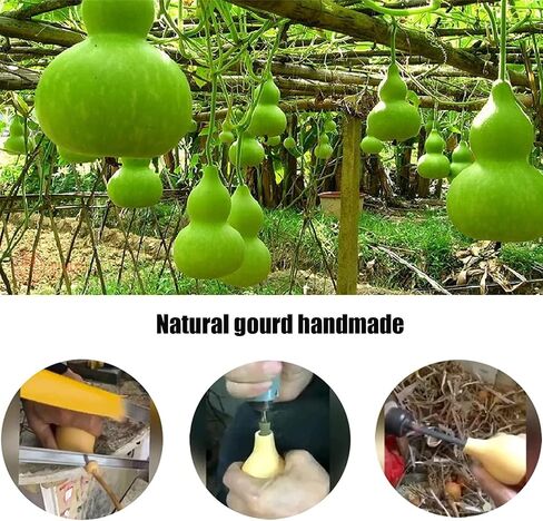 Gourd Water Bottle, 53oz Natural Wine Gourd, Outdoor Portable Water Bottle, Water, Wine Gourd Feng Shui Hu Lu Gourd Ornament for Home Decoration in Kuwait