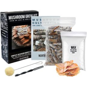 North Spore Chicken of the Woods Mushroom Log Kit, Outdoor DIY Mushroom Kit, Easy & Fun Wellness Hobby, Includes 100 Count Mushroom Plugs for Logs, Made in USA, Culinary Mushrooms, Medicinal Mushrooms in Saudi Arabia