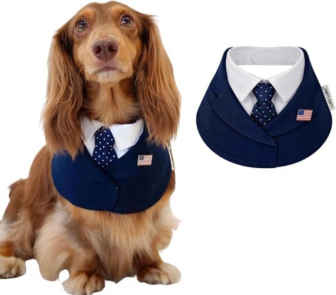 Presidential Dog Bandana Costume for Independence Day & 4th of July, Patriotic USA Pet Outfit with Red Tie & Blue Polka Dot Bow Tie, BBQ Party Photo Costume (Red, X-Small) in Kuwait