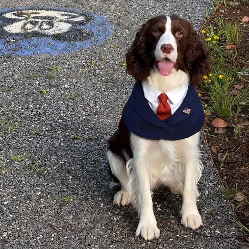 Presidential Dog Bandana Costume for Independence Day & 4th of July, Patriotic USA Pet Outfit with Red Tie & Blue Polka Dot Bow Tie, BBQ Party Photo Costume (Red, X-Small) in Kuwait