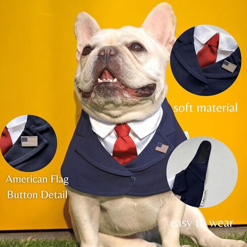 Presidential Dog Bandana Costume for Independence Day & 4th of July, Patriotic USA Pet Outfit with Red Tie & Blue Polka Dot Bow Tie, BBQ Party Photo Costume (Red, X-Small) in Kuwait