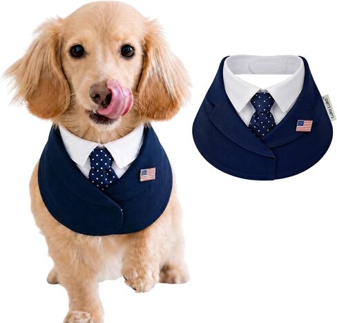Presidential Dog Bandana Costume for Independence Day & 4th of July, Patriotic USA Pet Outfit with Red Tie & Blue Polka Dot Bow Tie, BBQ Party Photo Costume (Red, X-Small) in Kuwait