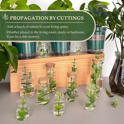 15-Pack 1.35 oz (40 ml) Glass Bottles with Cork Stoppers – for Spell Bottles, Spice Jars, DIY Party Favors, Travel Memories & Plant Propagation – Empty Recyclable Containers for Crafts, Kitchen,Décor in Saudi Arabia