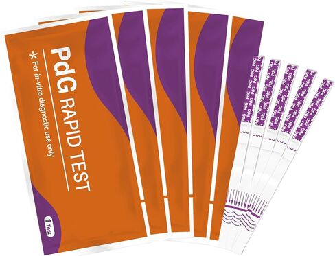 AssuTest PdG Test Strips Progesterone Urine Test for Confirming Ovulation, At-Home Fertility Ovulation Test, Detection Accuracy, Individually Foil-Sealed, 5 Count in Saudi Arabia