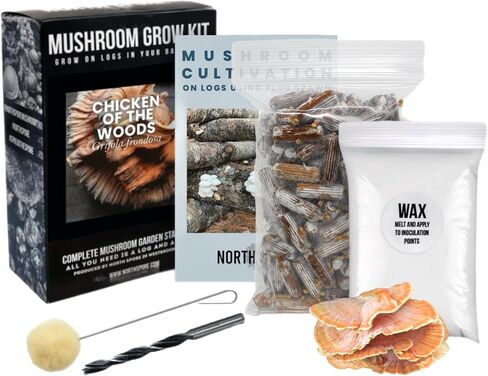 North Spore Chicken of the Woods Mushroom Log Kit, Outdoor DIY Mushroom Kit, Easy & Fun Wellness Hobby, Includes 100 Count Mushroom Plugs for Logs, Made in USA, Culinary Mushrooms, Medicinal Mushrooms in Saudi Arabia
