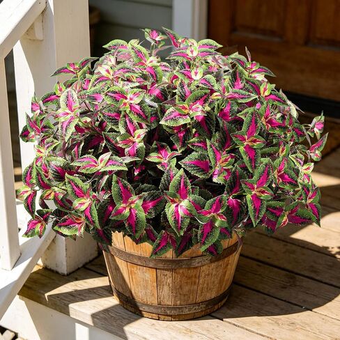 Artificial Plants Outdoor, 5 Bundles Faux Coleus Plants UV Resistant Fake Silk Greenery Leaves with Stems for Outside Front Porch Patio Garden Planter Decoration (Red) in Saudi Arabia