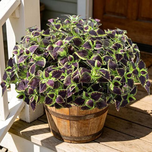 Artificial Plants Outdoor, 5 Bundles Faux Coleus Plants UV Resistant Fake Silk Greenery Leaves with Stems for Outside Front Porch Patio Garden Planter Decoration (Red) in Saudi Arabia
