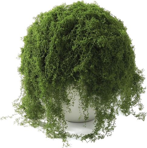 ARTKAIKE Fake Moss for Potted Plants Indoor, 7oz Artificial Turf Grass for Crafts, Fairy Gardens, Dioramas, Terrariums, Dollhouses, Model, Miniature, Centerpieces, Party Table Decorations(Dark Green) in Kuwait