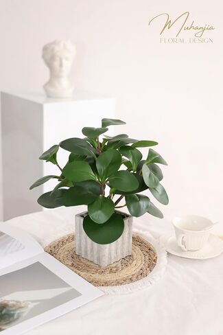 Muhanjia Artificial Potted Plant, Lifelike Faux Greenery in Decorative Cement-Look Square Pot for Indoor Home Decor Centerpieces (Peperomia) in Saudi Arabia