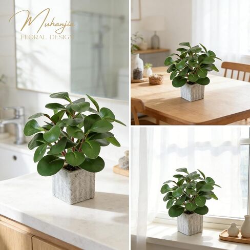 Muhanjia Artificial Potted Plant, Lifelike Faux Greenery in Decorative Cement-Look Square Pot for Indoor Home Decor Centerpieces (Peperomia) in Saudi Arabia