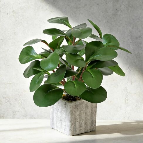 Muhanjia Artificial Potted Plant, Lifelike Faux Greenery in Decorative Cement-Look Square Pot for Indoor Home Decor Centerpieces (Peperomia) in Saudi Arabia