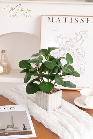 Muhanjia Artificial Potted Plant, Lifelike Faux Greenery in Decorative Cement-Look Square Pot for Indoor Home Decor Centerpieces (Peperomia) in Saudi Arabia