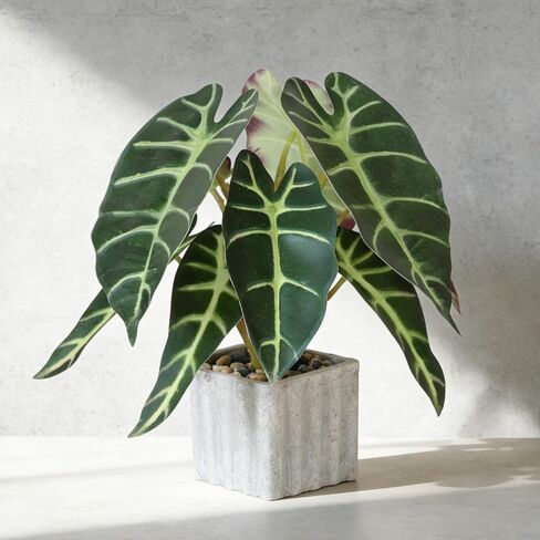 Muhanjia Artificial Potted Plant, Lifelike Faux Greenery in Decorative Cement-Look Square Pot for Indoor Home Decor Centerpieces (Peperomia) in Saudi Arabia