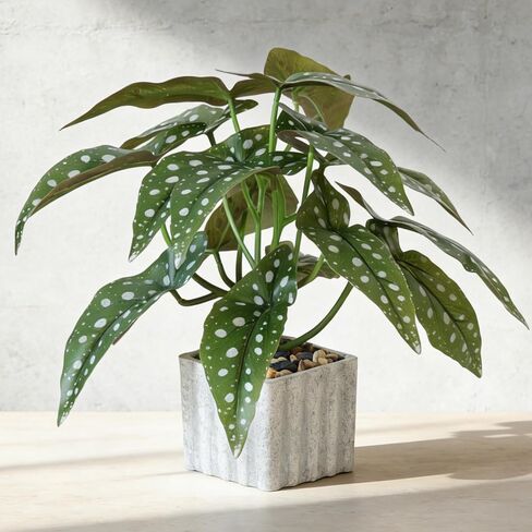 Muhanjia Artificial Potted Plant, Lifelike Faux Greenery in Decorative Cement-Look Square Pot for Indoor Home Decor Centerpieces (Peperomia) in Saudi Arabia