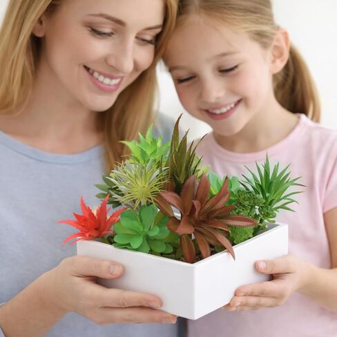 12 Pack Artificial Succulents, Mini Fake Succulent Plants Assortment, Small Faux Plastic Plants for DIY Crafts, Terrarium, Fairy Garden, Home Office Desk Decor in Saudi Arabia