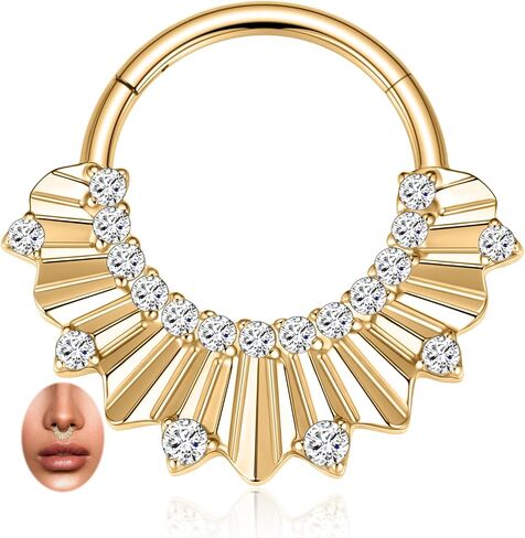 PEAKLINK 16G الحاجز الدائري Daith القرط 316L الفولاذ المقاوم للصدأ الأنف هوب الدائري اللولب الغضروف الزنمة الرخ محارة القرط الحاجز ثقب المجوهرات للنساء الرجال in Kuwait