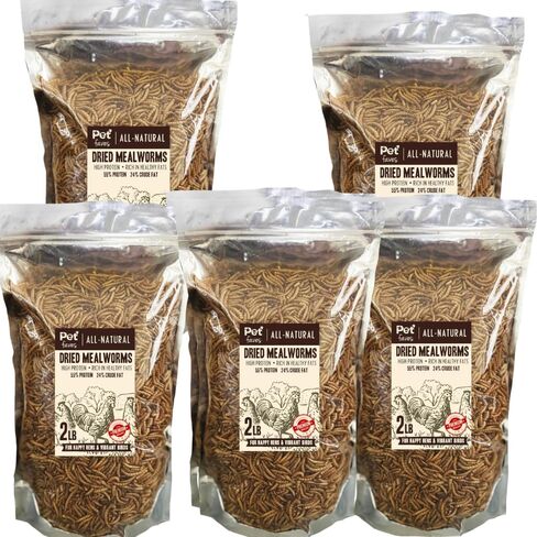 (2 Tubs) Greenies Feline SMARTBITES Healthy Indoor (aka: Hairball Control) Chicken & Tuna Flavor. 16oz per tub. in Kuwait