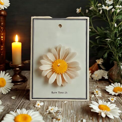 Chamomile Flower-Shape Scented Candles,4 Pack Daisy Blossom Soy Wax Aroma Aesthetic Decorative Candle for Home,Wedding,Gifts,Photo Props,Long-Lasting Smokeless in Kuwait
