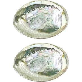 2 Pcs Colorful Fashionable Large Abalone Shell Bowl, 4-4.5 Inch Exquisite Natural Sea Shell Smudge Bowl for Sage Burning and Incense for Decor, Display, Incense Holders, Decorations in Saudi Arabia