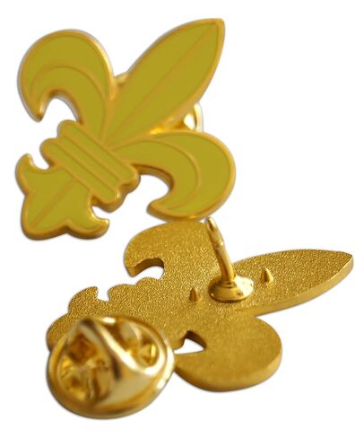 مجموعة Novel Merk Fleur De Lis - دبوس طية صدر الملوك ودبوس قبعة وربطة عنق - مع حقيبة ظهر 3 قطع in Kuwait