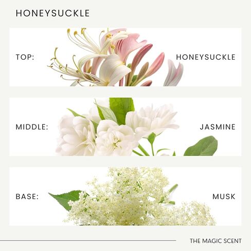 The Magic Scent Honeysuckle Diffuser Oil - Hotel & Home Luxury Scents - Diffuser Oil Scents for Home Designed for Use in All Diffusers - 4 fl oz, 120 mL in Saudi Arabia