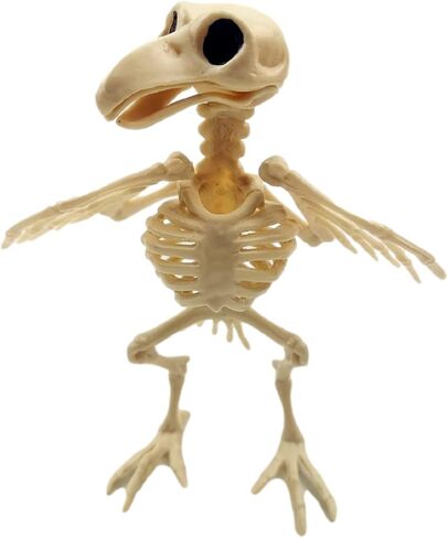 GK-O Halloween Bird Crow Raven الهيكل العظمي عظام الحيوانات الرعب الدعائم ديكور الحفلات in Kuwait