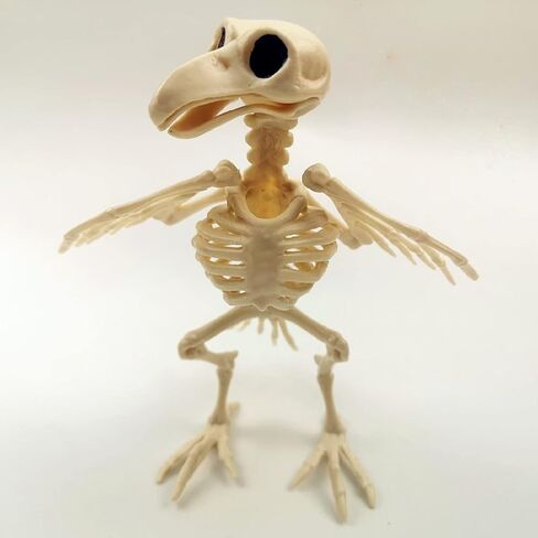 GK-O Halloween Bird Crow Raven الهيكل العظمي عظام الحيوانات الرعب الدعائم ديكور الحفلات in Kuwait
