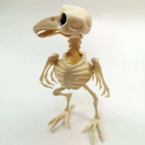 GK-O Halloween Bird Crow Raven الهيكل العظمي عظام الحيوانات الرعب الدعائم ديكور الحفلات in Kuwait