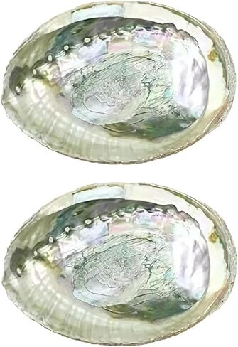 2 Pcs Colorful Fashionable Large Abalone Shell Bowl, 4-4.5 Inch Exquisite Natural Sea Shell Smudge Bowl for Sage Burning and Incense for Decor, Display, Incense Holders, Decorations in Saudi Arabia