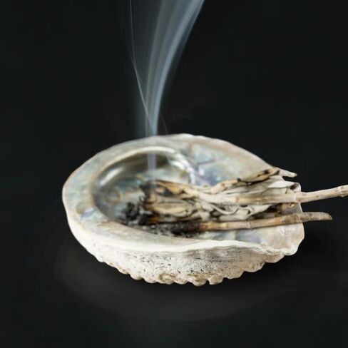 2 Pcs Colorful Fashionable Large Abalone Shell Bowl, 4-4.5 Inch Exquisite Natural Sea Shell Smudge Bowl for Sage Burning and Incense for Decor, Display, Incense Holders, Decorations in Saudi Arabia