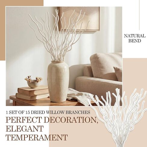 17 Inch Natural Dried Curly Willow Branches, 15 Pcs White Twigs Decorative Twisted White Sticks for Home Wedding Vase Decor in Saudi Arabia