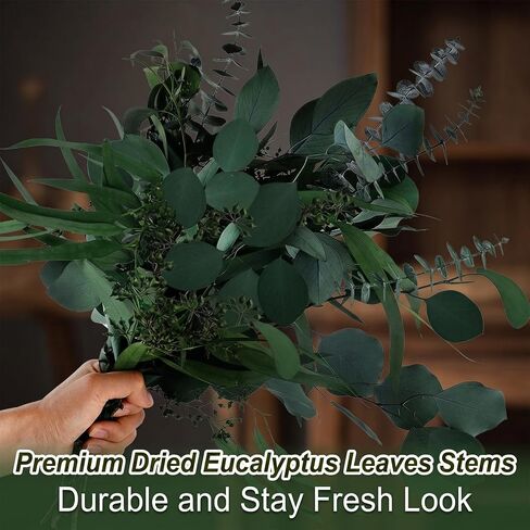 16PCS Real Dried Eucalyptus Stems, Mixed Silver Dollar & Seeded Eucalyptus Leaves, Preserved Natural Greenery for Vase, Wedding Bouquet, Floral Arrangement, Home Decor in Saudi Arabia