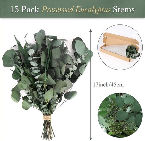 16PCS Real Dried Eucalyptus Stems, Mixed Silver Dollar & Seeded Eucalyptus Leaves, Preserved Natural Greenery for Vase, Wedding Bouquet, Floral Arrangement, Home Decor in Saudi Arabia