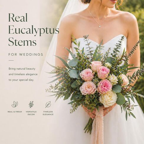 16PCS Real Dried Eucalyptus Stems, Mixed Silver Dollar & Seeded Eucalyptus Leaves, Preserved Natural Greenery for Vase, Wedding Bouquet, Floral Arrangement, Home Decor in Saudi Arabia