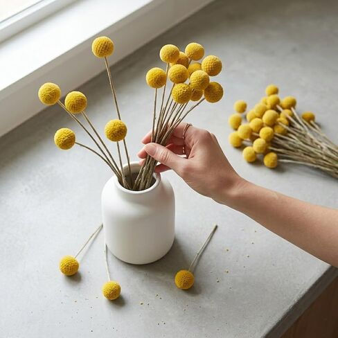 20PCS Natural Dried Flowers Craspedia Billy Balls Flowers Billy Buttons Floral Bouquet Flower Autumn Dried Flower Bouquet Wedding and Home Decor DIY Yellow in Saudi Arabia