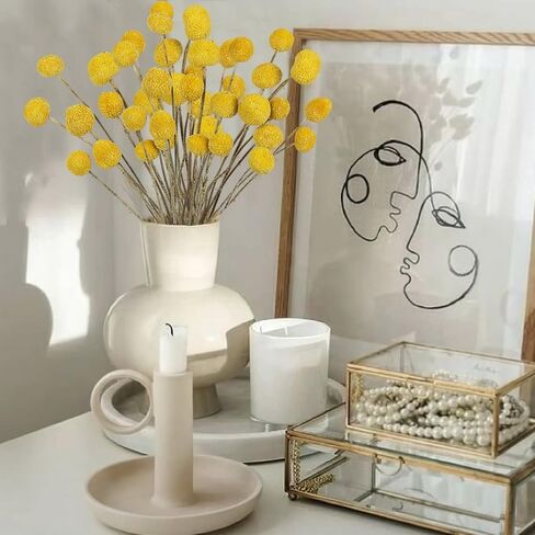 20PCS Natural Dried Flowers Craspedia Billy Balls Flowers Billy Buttons Floral Bouquet Flower Autumn Dried Flower Bouquet Wedding and Home Decor DIY Yellow in Saudi Arabia