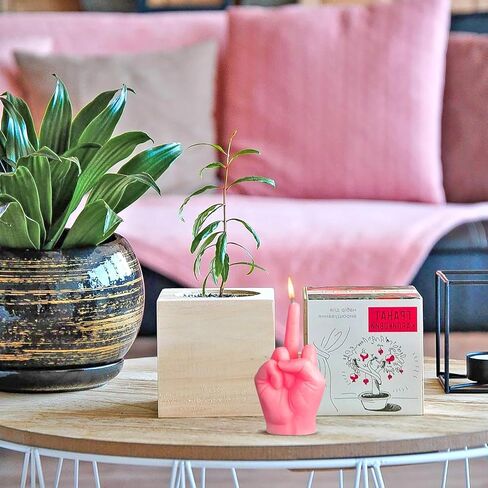 6sisc Middle Finger Scented Candle Hot Pink Danish Pastel Room Aesthetic Decor Pine Fragrance Candles Natural Vegan Soy Wax Hand Gesture Aromatherapy Candle for Home Bedroom Decoration Birthday Gifts in Saudi Arabia