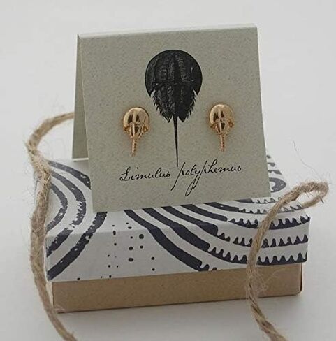 Horseshoe Crab Stud Earrings - gold in Saudi Arabia