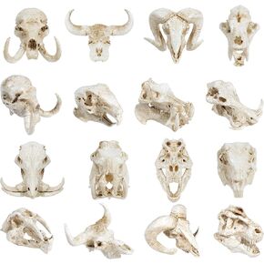 Exasinine 16 Pcs Mini Resin Animal Skull Heads Figurines 1.5 Inch Mini Skulls Figurines Highly Detailed Miniature Animal Skull for Halloween Crafts Gothic Decor Terrarium Micro Landscape Decor in Saudi Arabia