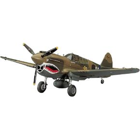 1/48 P-40E Warhawk in Saudi Arabia