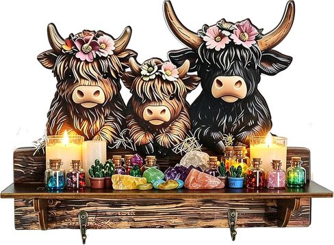 Gothic Evil Dragon Crystal Display Shelf for Wall, Wooden Trinket Holder Decor Witchy Shelf Rock Display Case Knick Knack Organizer, Wall Hanging Shelves for Essential Oil & Nail Polish (Dragon) in Saudi Arabia