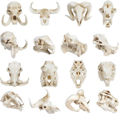 Exasinine 16 Pcs Mini Resin Animal Skull Heads Figurines 1.5 Inch Mini Skulls Figurines Highly Detailed Miniature Animal Skull for Halloween Crafts Gothic Decor Terrarium Micro Landscape Decor in Saudi Arabia
