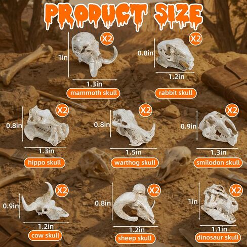 Exasinine 16 Pcs Mini Resin Animal Skull Heads Figurines 1.5 Inch Mini Skulls Figurines Highly Detailed Miniature Animal Skull for Halloween Crafts Gothic Decor Terrarium Micro Landscape Decor in Saudi Arabia