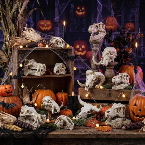 Exasinine 16 Pcs Mini Resin Animal Skull Heads Figurines 1.5 Inch Mini Skulls Figurines Highly Detailed Miniature Animal Skull for Halloween Crafts Gothic Decor Terrarium Micro Landscape Decor in Saudi Arabia